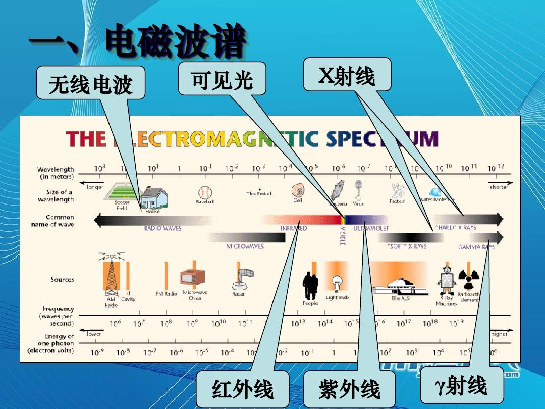 鸭脖官网登录