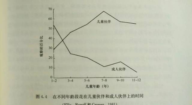 鸭脖官网登录